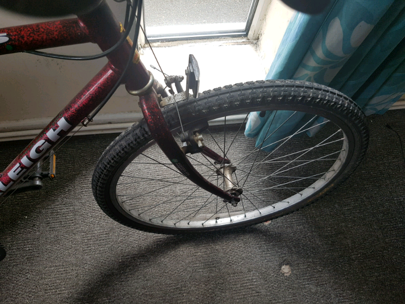raleigh nitro mountain bike